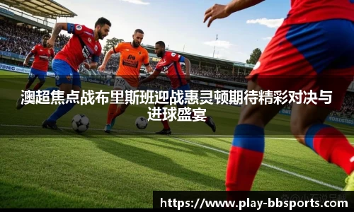 BB贝博体育